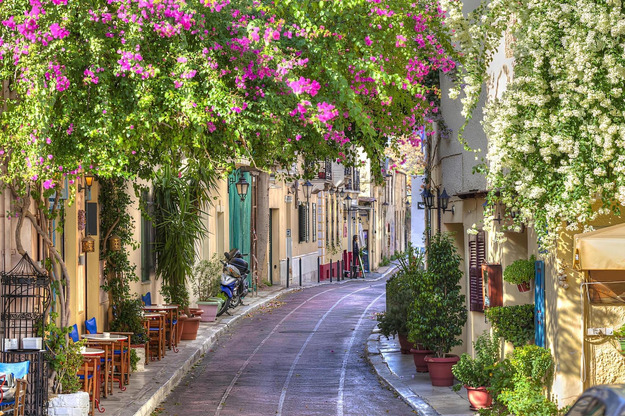Apeiron Acropolis Suites ana fotoğrafı